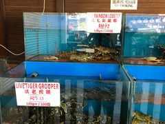 -真浪花园海鲜餐馆