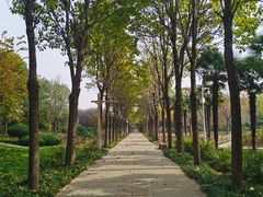 -洛阳市隋唐城遗址植物园