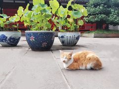 -成都市文殊院