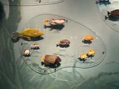 -中国湿地博物馆