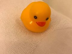 -上海浦东华美达大酒店