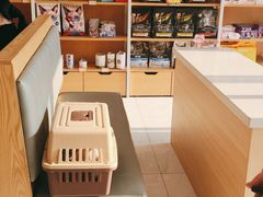 -艾贝尔宠物医院·24H转诊中心·肿瘤猫专科(江宁双龙店)