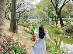 -人民公园(罗湖区)