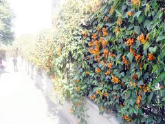 p5b-娜娜度假小旅馆