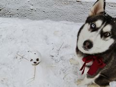 -太子岭滑雪场