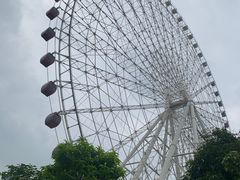 -凤岭儿童公园