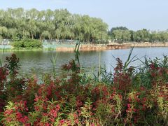 -稻香湖景欢乐岛温泉城堡