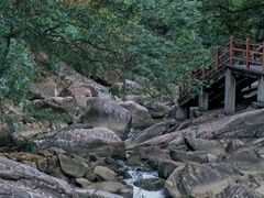 -广州白江湖森林公园