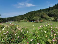 -武陵山森林公园