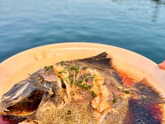 -蓝湾碧波·老字号·疍家非遗海上餐厅