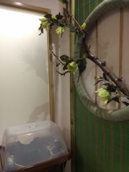 -芳朵美容养生SPA