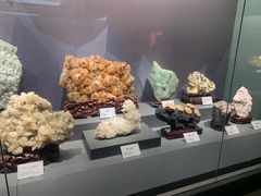 -湖南省地质博物馆