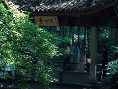 -西湖风景区十里琅珰-五云山