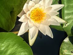 -上海吴淞炮台湾国家湿地公园