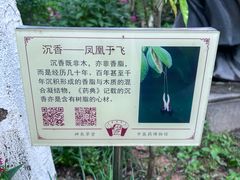 -广州神农草堂中医药博物馆
