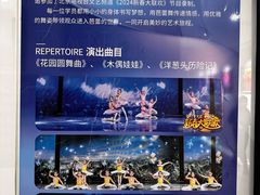 -中央芭蕾舞团·中芭艺蕾(酒仙桥明星校区)