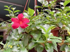 -随意茶庄·地道杭帮农家菜(梅家坞店)