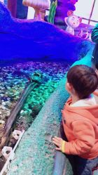 -酷嗒动物文化乐园(cutezoo西溪乐天城店)