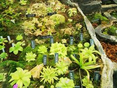 -国家植物园南园