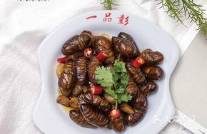 Secret-Recipe Silkworm Pupae