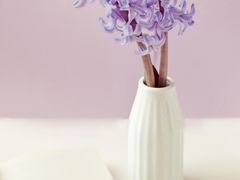 -白金汉爵大酒店(相城店)