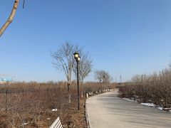 -永定河休闲森林公园