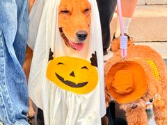 -华谊兄弟（长沙）电影小镇