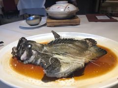 石锅古法蒸老虎斑-利苑酒家(华熙国际店)