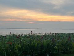 -阳澄湖费尔蒙酒店