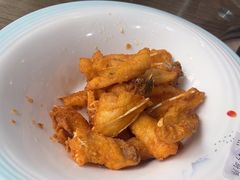 -港升鱼师傅·中山脆肉鲩
