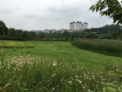 -贵阳市花溪国家城市湿地公园
