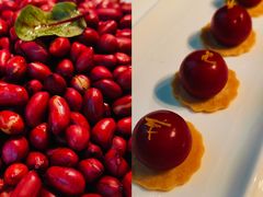 -秀儿四九城·新京菜(亚运村鸟巢店)
