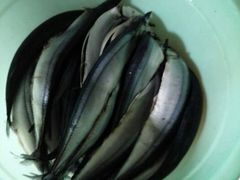 android_upload_pic-阿明烧烤·烤鱼·小龙虾(水清路店)