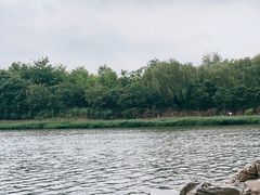 -大兴滨河森林公园