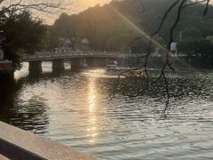 -谢怀亮芝麻茶