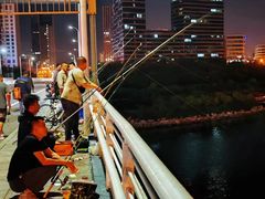 -海河外滩公园