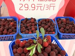 -义乌之心城市生活广场