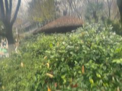 -天目湖御水温泉·度假酒店