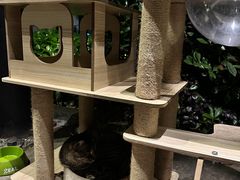 -芳草地度假酒店·野炉中餐厅