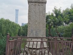 -团结湖公园