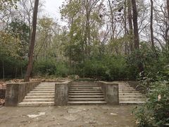 -灵谷景区