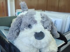 -星巴克臻选(杭州西溪印象城店)