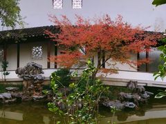 -秋霞圃