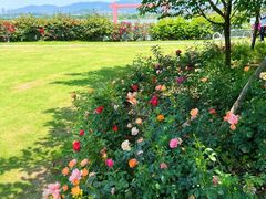 -福建鲤鱼洲酒店