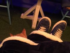 -Sirena海妖日咖夜酒