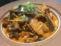 -洞庭家宴·头牌甲鱼(广渠门店)