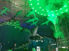 -烟台海昌鲸鲨海洋公园