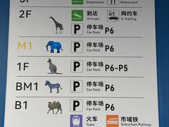 -虹桥综合交通枢纽-P6停车库