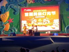 舞台-巨鹏飞梦幻海岸
