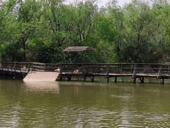 -溱湖国家湿地公园